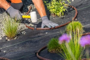 Exteriores. Césped, poda, plantas, arreglos, mantenimiento y más.